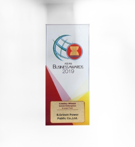 Country Winner in Green Enterprise (Large-Tier)